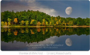 Moonrise Over White Pond, Concord, Massachusetts